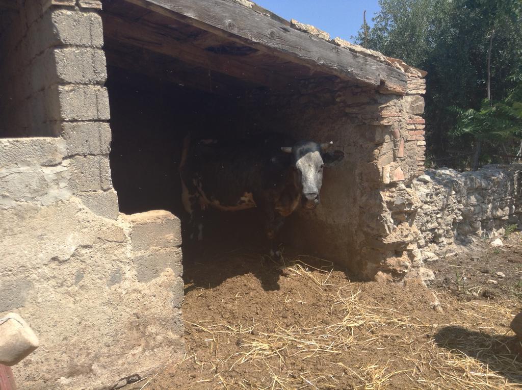 Antico Frantoio Villa Cerchiara di Calabria Luaran gambar